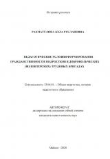 ПЕДАГОГИЧЕСКИЕ УСЛОВИЯ ФОРМИРОВАНИЯ ГРАЖДАНСТВЕННОСТИ ПОДРОСТКОВ В ДОБРОВОЛЬЧЕСКИХ (ВОЛОНТЁРСКИХ) ТРУДОВЫХ БРИГАДАХ