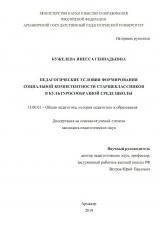 ПЕДАГОГИЧЕСКИЕ УСЛОВИЯ ФОРМИРОВАНИЯ СОЦИАЛЬНОЙ КОМПЕТЕНТНОСТИ СТАРШЕКЛАССНИКОВ В КУЛЬТУРОСООБРАЗНОЙ СРЕДЕ ШКОЛЫ