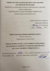 Общая профилактика агрессивного поведения у молодежи (на примере студентов Адыгейского государственного университета)