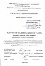 Разработка маркетингового инструментария повышения эффективности хозяйственной деятельности предприятия (на примере ООО «Славянский консервный комбинат»)