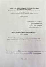 Особенности физиологических процессов у интродуцированных видов рябины в Ботаническом саду Адыгейского государственного университета