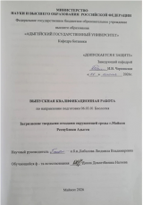 Загрязнение твердыми отходами окружающей среды г. Майкопа Республики Адыгея