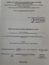 Формирование сбытовой стратегии туроператора