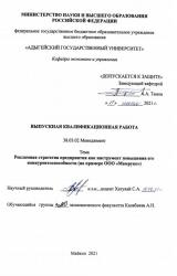 Рекламная стратегия предприятия как инструмент повышения его конкурентоспособности (на примере ООО «Мамруко»)