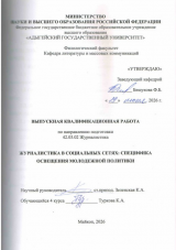 Журналистика в социальных сетях: специфика освещения молодежной политики