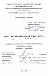 Особенности выбора стратегических приоритетов развития организации (на примере ООО «Ирк-Кумут»)