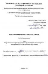 Маркетинговая стратегия развития предприятия на целевом рынке (на примере ООО Торговый дом «Виктория»)