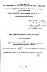 Стратегия сбыта предприятия с учетом кризисных явлений в экономике (на примере ООО «Вагрус»)