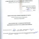 Педагогические условия формирования цифровой грамотности младших школьников.