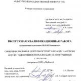 Совершенствование деятельности организации на основе оценки эффективности реализации ее конкурентной стратегии (на примере ООО «Айсберг»)