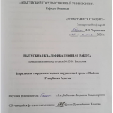 Загрязнение твердыми отходами окружающей среды г. Майкопа Республики Адыгея