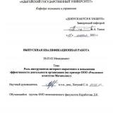 Роль инструментов интернет-маркетинга в повышении эффективности деятельности организации (на примере ООО «Рекламное агентство Мегаполис»)