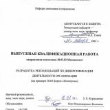 Разработка рекомендаций по диверсификации деятельности организации 