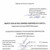 Особенности выбора стратегических приоритетов развития организации (на примере ООО «Ирк-Кумут»)